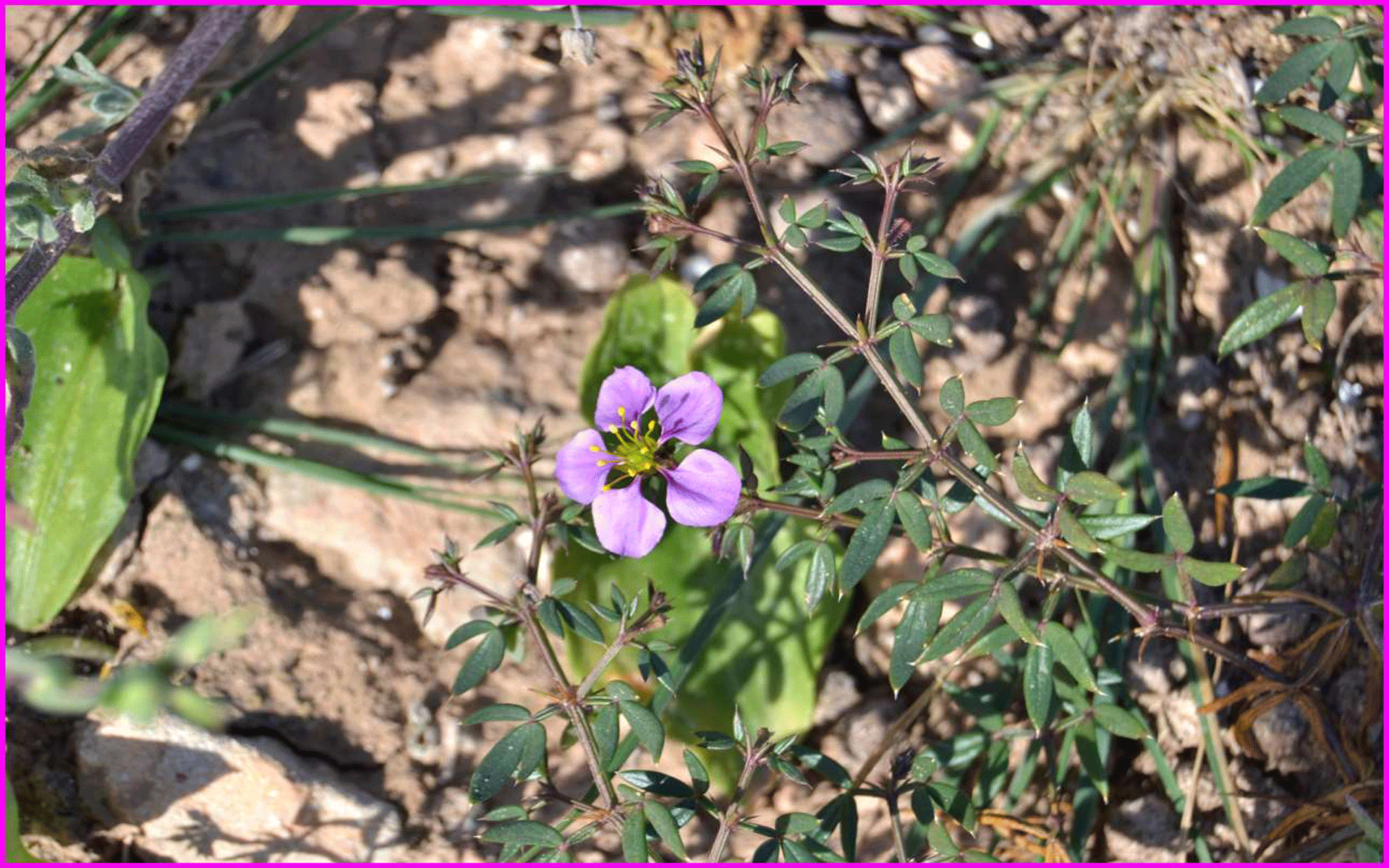 Detalle de la excursión fotográfica